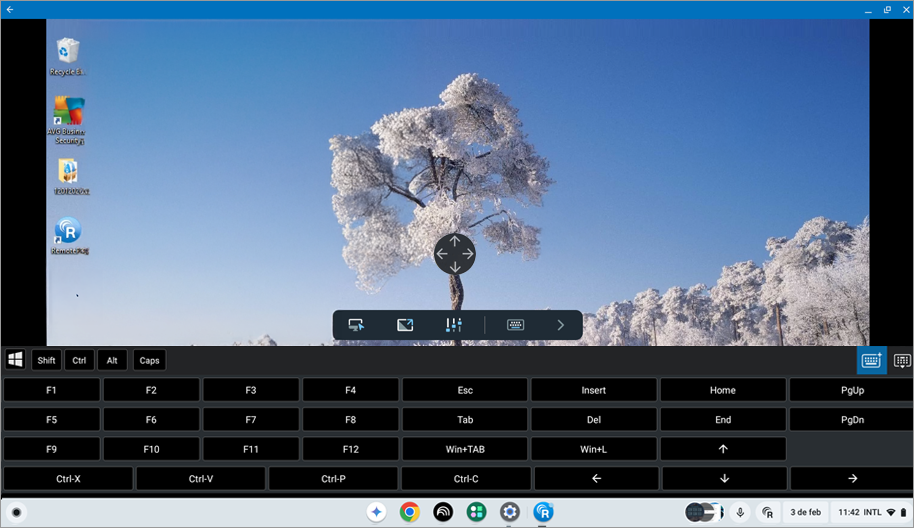 RemotePC
