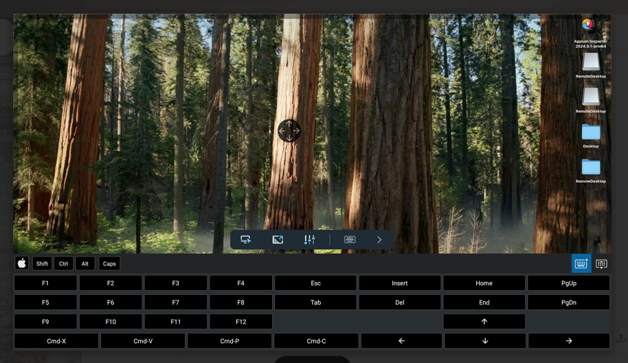 Remote Desktop