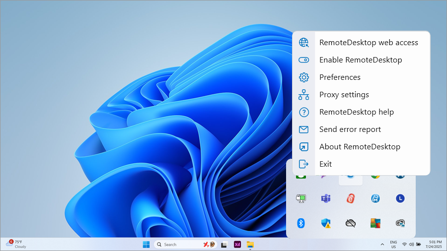 Remote Desktop